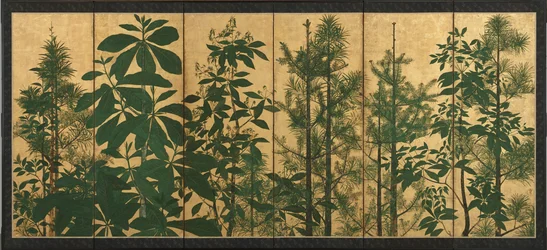 Bomen, vroege Edo-periode
